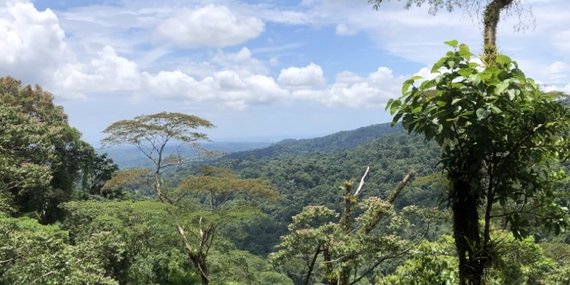 Schüleraustausch Traumziel Costa Rica
