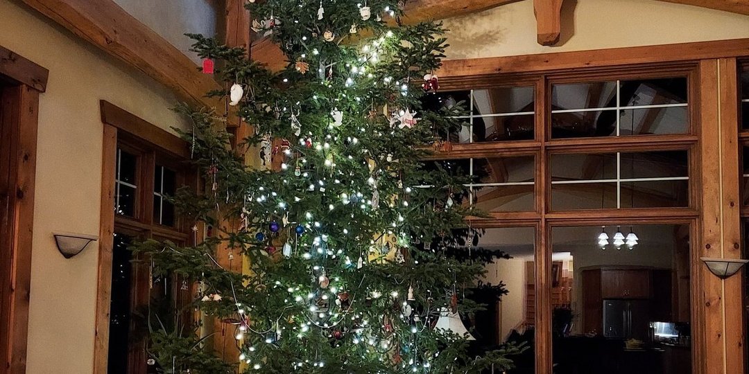 AUF IN DIE WELT Schüleraustausch in Kanada: Weihnachten AUF IN DIE WELT Schüleraustausch in Kanada: Weihnachten