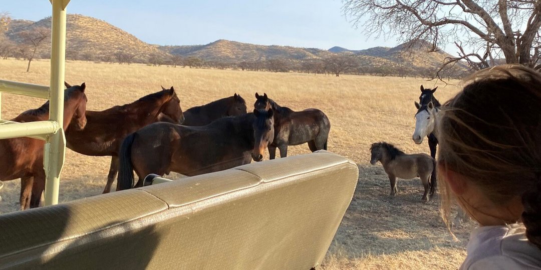 Lotta im Freiwilligendienst in Namibia: Blick auf die Farm