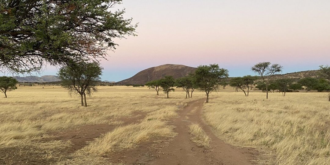 Freiwilligendienst mit Stipendium: Die Savanne in Namibia Freiwilligendienst mit Stipendium: Die Savanne in Namibia