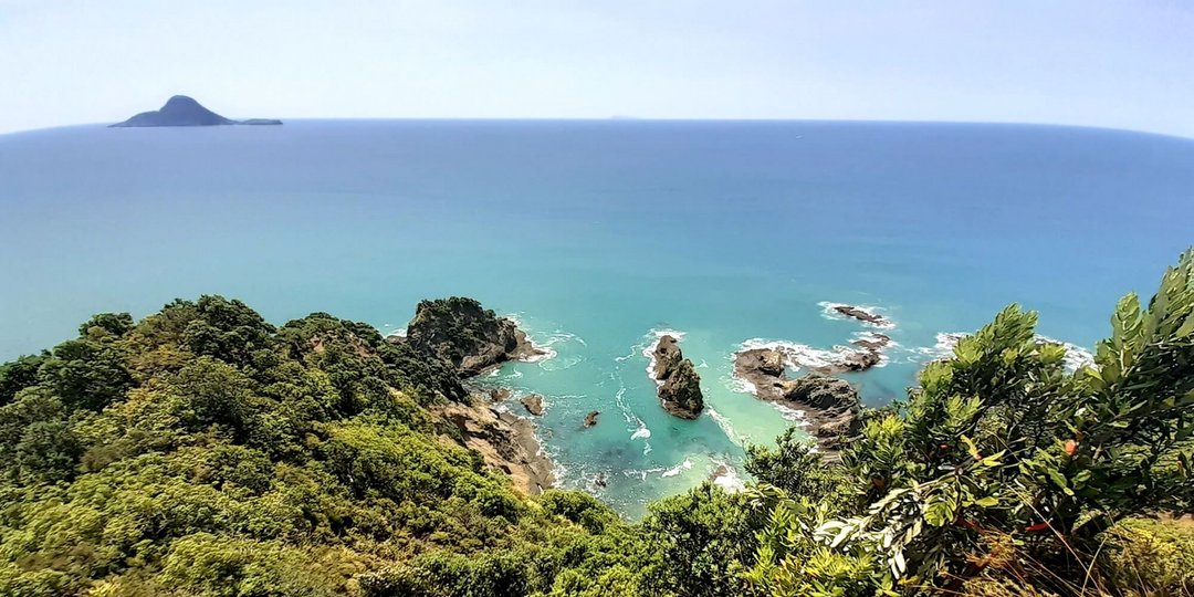 Auslandsjahr – Schüleraustausch Traumziel Neuseeland   Auslandsjahr – Schüleraustausch Traumziel Neuseeland
