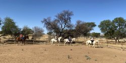 Auf in die Welt: Freiwilligendienst im Gap Year in Namibia (Foto: BürgerStiftung Region Ahrensburg)