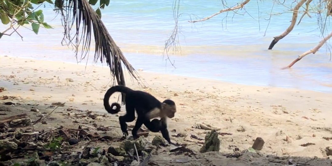 Auf in die Welt Schüleraustausch mit Stipendium in Costa Rica